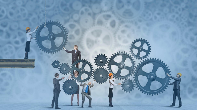 Organizasyon Yönetimi